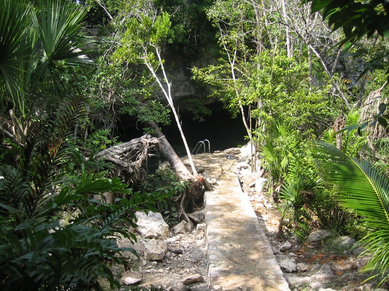 Der Einstieg in eine Cenote